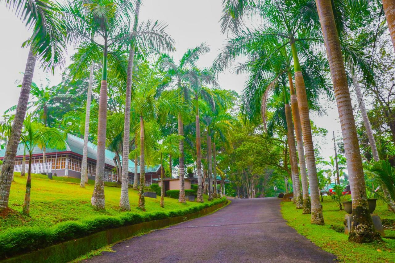 Rajanawa Resort Ratnapura Zewnętrze zdjęcie